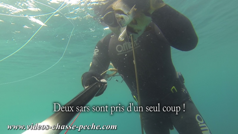 Chasse sous-marine en méditerranée